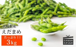 【ふるさと納税】宮崎県産えだまめ3kg(500g×6袋) 国産の冷凍枝豆6袋セット [野菜 おつまみ 茶豆 日本産 10000円 1万円]