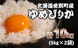 【ふるさと納税】【A15202】愛別町産米（ゆめぴりか5kg×2袋）