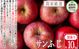 【ふるさと納税】りんご サンふじ 訳あり 10kg 松澤農園 沖縄県への配送不可 2024年11月下旬頃から2025年2月上旬頃まで順次発送予定 令和