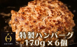 【ふるさと納税】おおいた和牛特製ハンバーグ170g×6個（計1020g）【匠牧場】 ハンバーグ 国産 人気 牛肉 冷凍 和牛 おおいた和牛 豚肉 