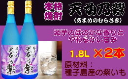 【ふるさと納税】種子島 本格 芋 焼酎 天女乃紫 (あまめのむらさき) 1.8L 一升瓶 2本　NFN156【500pt】 // 本格芋焼酎 芋焼酎 紫芋 白麹