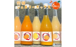 【ふるさと納税】西予市産柑橘ジュエリーボックス6本入り（無添加果汁100％ジュース）