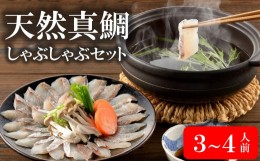 【ふるさと納税】ぷりぷり食感！天然真鯛しゃぶしゃぶセット 3〜4人前 カット済 鯛アラ・ポン酢付き[ZB293]