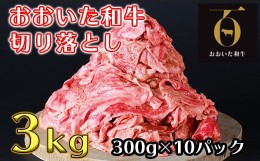 【ふるさと納税】＜生産者支援品＞おおいた和牛切り落とし3kg（300g×10p） ※真空パック 【匠牧場】 牛肉 切り落とし 和牛 国産 小分け 