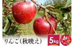 【ふるさと納税】りんご (秋映え) 5kg 山形県産 フルーツ 果物 リンゴ 林檎 【2024年10月上旬〜10月下旬に順次発送予定】 