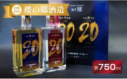 【ふるさと納税】20年甕貯蔵原酒★無月「耀」(芋・麦焼酎）750ml×2本 F29-191