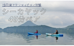 【ふるさと納税】【池田湖でアクティビティ体験】シーカヤック 45分間ペアチケット(えぷろんはうす池田/A-180)