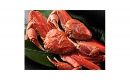 【ふるさと納税】ボイル カニ姿ずわい蟹 2尾 約1.5kg [1603]