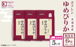 【ふるさと納税】（無洗米６ｋｇ）【５ヶ月定期配送】ホクレンゆめぴりか