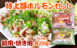 【ふるさと納税】特上豚ホルモン 鍋用・塩焼き用セット【さくら亭】/ ホルモン鍋 塩焼き 豚肉 ホルモン