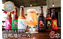 【ふるさと納税】KW-10　International Beer Cup2018 シルバーメダル 受賞 鹿嶋 地ビール 6本 セット 茨城 自然栽培 麦芽 茨城県 ランダ