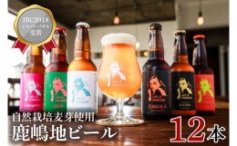 【ふるさと納税】KW-11　International Beer Cup2018 シルバーメダル 受賞 鹿嶋 地ビール 12本 セット 自然栽培 麦芽 茨城県 ランダム お