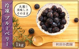 【ふるさと納税】大粒で甘い♪ ＜冷凍＞ブルーベリー1Kg【秋田谷農園】【a014-019】