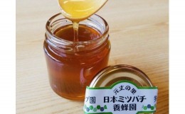 【ふるさと納税】GJ-02　無農薬ハーブ園から採取した超希少な日本ミツバチの蜂蜜