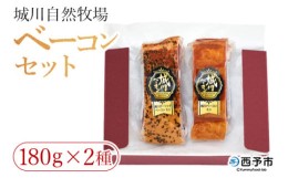 【ふるさと納税】＜城川自然牧場 ベーコンセット（180g×2種）＞ 城川ガーリックベーコン 豚肉 厚切り 国産 詰め合わせ 加工品 城川ファ