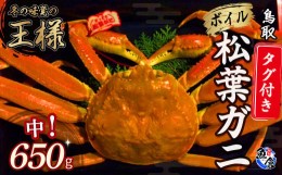 【ふるさと納税】【魚倉】タグ付きボイル松葉ガニ（中６５０ｇ）冷蔵 カニ ボイル 松葉ガニ タグ付き 新鮮 カニ爪 ズワイガニ　ずわいが