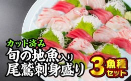 【ふるさと納税】カット済み！旬の地魚入り尾鷲お刺身盛り合わせ　３魚種セット　HA-9 