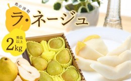 【ふるさと納税】令和6年産 洋梨「ラ・ネージュ」 2kg（5〜10玉） 秀品以上 《化粧箱入り》 サイズおまかせ 山形産 2024年産 【2024年11