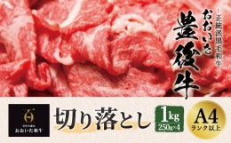 【ふるさと納税】正統派黒毛和牛 おおいた豊後牛 切り落とし 1000g 小分け