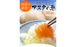 【ふるさと納税】U-3 黄身がしっかり濃厚な卵【アスタの恵み】90個