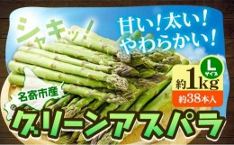 【ふるさと納税】 アスパラ グリーンアスパラ アスパラガス 約1kg Lサイズ (約38本) なよろ観光まちづくり協会《2024年5月下旬-6月下旬頃