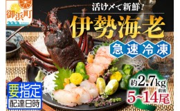 【ふるさと納税】熊野灘産活〆急速冷凍伊勢海老　松 5〜14尾 約2.7kg前後 魚介 伊勢海老 伊勢えび 海老 えび 三重県 御浜町 冷凍