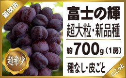 【ふるさと納税】＜2024年先行予約＞富士の輝1房約700g★ 097-009 ｜ぶどう 葡萄 笛吹市 ブラック ブラックシャインマスカット 希少 希少