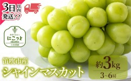 【ふるさと納税】＜2024年先行予約＞シャインマスカット 3〜6房 約3.0kg ※沖縄県・離島は発送不可 097-014 | シャインマスカット 先行予