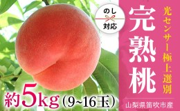 【ふるさと納税】＜2024年先行予約＞笛吹市産こだわりの桃 約5.0kg (9〜16玉) 常温配送 090-011  ｜もも 桃 先行予約 丸章青果 糖度セン