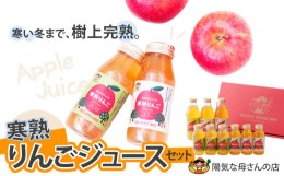 【ふるさと納税】50P4702 寒熟りんごジュースセット