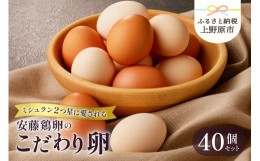 【ふるさと納税】【山梨県産 卵】ミシュランも選ぶ高級卵セット（40個）