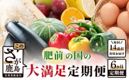 【ふるさと納税】H-10  【6ヶ月お届け】肥前の国の農産物 大満足定期便 【 野菜 卵 米 果物 新鮮 セット 詰め合わせ 定期便 産地直送 肥