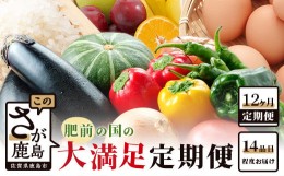 【ふるさと納税】N-9  【１２ヶ月お届け】肥前の国の農産物 大満足定期便 【 野菜 卵 米 果物 新鮮 セット 詰め合わせ 定期便 産地直送 