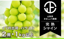 【ふるさと納税】＜2024年先行予約＞ハウスシャインマスカット 2房1.0kg以上 098-009 ｜シャインマスカット 先行予約 まるしょう農園 笛