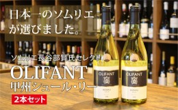 【ふるさと納税】【ソムリエ長谷部賢氏セレクト】OLIFANT 甲州シュール・リー　2本セット【008-005】