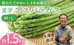 【ふるさと納税】【農家直送】夏芽アスパラガス 1.5kg（M・L混合）アスパラガス アスパラ 野菜 新鮮 夏野菜 東彼杵町 / 前平農園 [BCG003