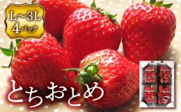 【ふるさと納税】＜先行予約＞福島県 伊達市産 いちご （とちおとめ3L〜Lサイズ）4パック F20C-133