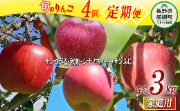 【ふるさと納税】旬のりんご 【 定期便 】 家庭用 3kg × 4回 丸山りんご園 沖縄県への配送不可 2024年9月上旬頃から2024年12月下旬頃ま