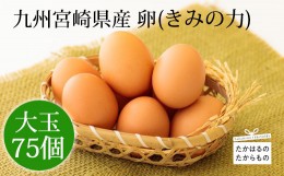 【ふるさと納税】宮崎県産の新鮮たまご『きみの力(チカラ)』75個Lサイズの赤卵 ミネラルたっぷりのカキガラや上質な飼料ですくすく育った