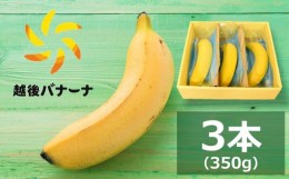 【ふるさと納税】【雪国新潟産バナナ】3本（350g）濃厚な甘さともっちり食感！安心安全の越後バナーナ[ZB325]