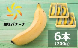 【ふるさと納税】【雪国新潟産バナナ】6本（700g）濃厚な甘さともっちり食感！安心安全の越後バナーナ[ZC431]