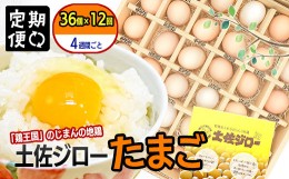 【ふるさと納税】【定期便】土佐ジローたまご（1箱36個入）×12回　約4週間毎に1回