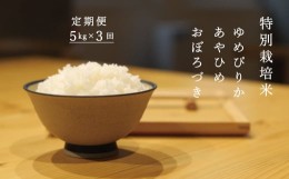 【ふるさと納税】当麻グリーンライフ　特別栽培米　食べ比べ　定期便　ゆめぴりか　あやひめ　おぼろづき