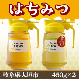 【ふるさと納税】はちみつセット(450ｇ[パッカー容器]×2本) 