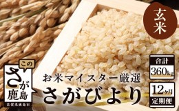 【ふるさと納税】V-20 《12ヶ月定期便》鹿島市産さがびより　玄米30kg定期便