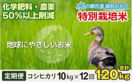 【ふるさと納税】【令和5年産】【12ヶ月定期便】こしひかり 10kg×12回 計120kg【白米】減農薬・減化学肥料 「特別栽培米」−地球にやさ