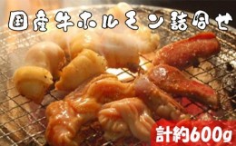 【ふるさと納税】No.163 国産牛ホルモン詰合せ　計約600g ／ 焼肉 小腸 アカセンマイ ミノ ココロ 大阪府 特産