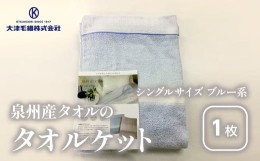 【ふるさと納税】泉州産タオルの タオルケット シングルサイズ ブルー系 ルカ[0734]