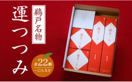 【ふるさと納税】鵜戸名物！一口もなか「運つつみ」（計22個） BC75-23