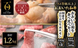 【ふるさと納税】おおいた和牛食べ比べセット&ぷりぷり牛ホルモン(合計1.2kg)【1112603】